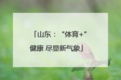 山东：“体育+”健康 尽显新气象