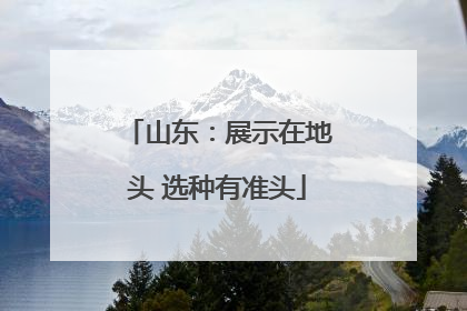 山东：展示在地头 选种有准头