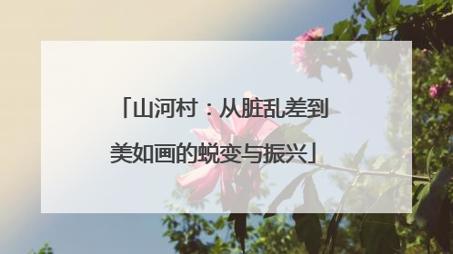 山河村：从脏乱差到美如画的蜕变与振兴