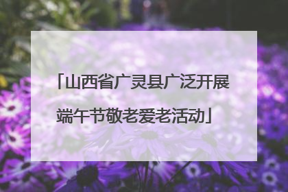 山西省广灵县广泛开展端午节敬老爱老活动