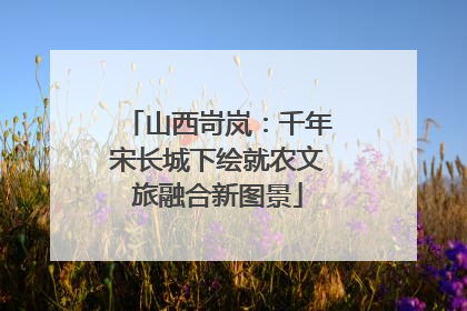 山西岢岚：千年宋长城下绘就农文旅融合新图景