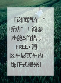 岚图汽车“听劝”！鸿蒙座舱5首搭，FREE+湾区车展实车内饰正式曝光