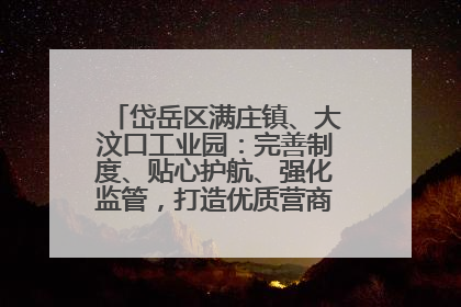 岱岳区满庄镇、大汶口工业园：完善制度、贴心护航、强化监管，打造优质营商“强磁场”