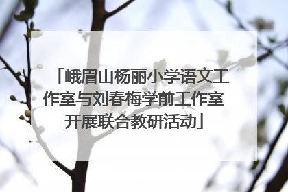 峨眉山杨丽小学语文工作室与刘春梅学前工作室开展联合教研活动