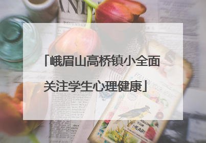 峨眉山高桥镇小全面关注学生心理健康