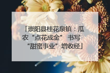 崇阳县桂花泉镇：瓜农“点花成金” 书写“甜蜜事业”增收经