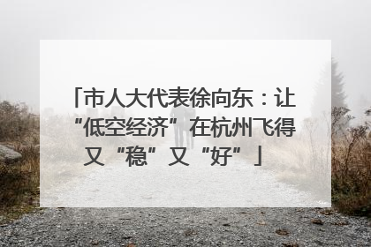 市人大代表徐向东：让“低空经济”在杭州飞得又“稳”又“好”