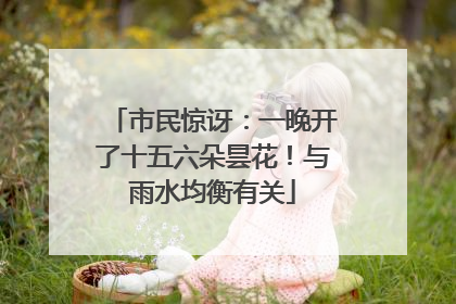 市民惊讶：一晚开了十五六朵昙花！与雨水均衡有关