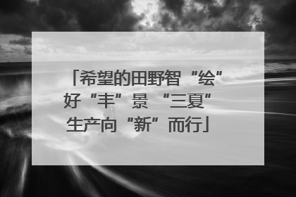 希望的田野智“绘”好“丰”景 “三夏”生产向“新”而行