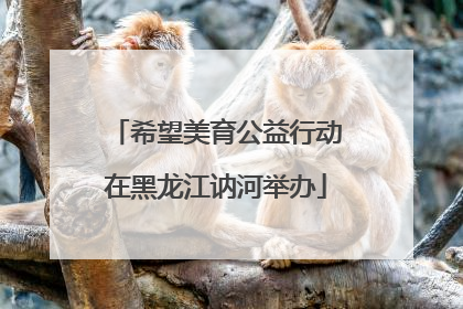 希望美育公益行动在黑龙江讷河举办