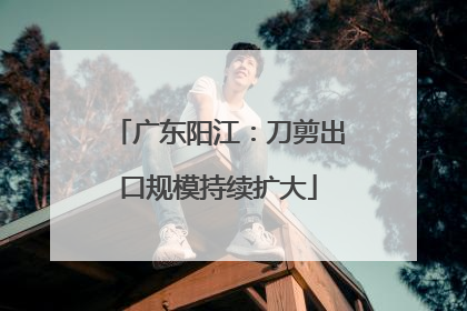 广东阳江：刀剪出口规模持续扩大