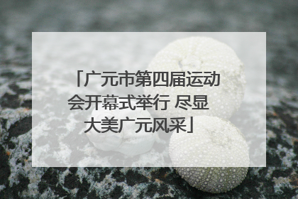 广元市第四届运动会开幕式举行 尽显大美广元风采