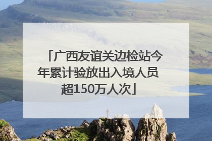 广西友谊关边检站今年累计验放出入境人员超150万人次