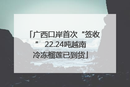 广西口岸首次“签收” 22.24吨越南冷冻榴莲已到货