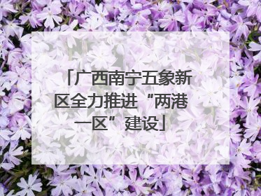 广西南宁五象新区全力推进“两港一区”建设