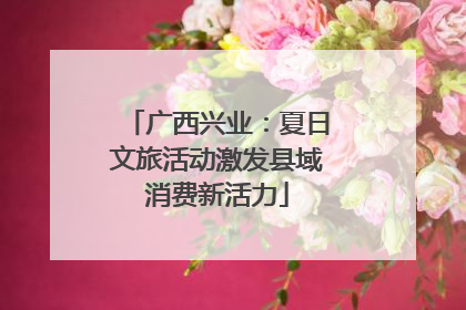 广西兴业：夏日文旅活动激发县域消费新活力