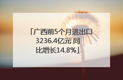 广西前5个月进出口3236.4亿元 同比增长14.8%