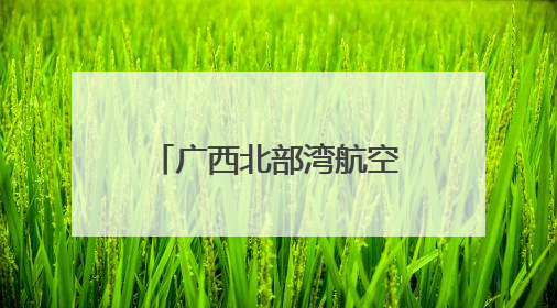 广西北部湾航空联合南宁市生态环境局开展“美丽南宁·共建共享”主题航班活动