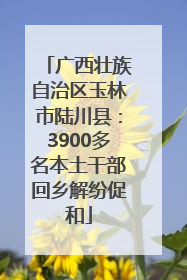 广西壮族自治区玉林市陆川县：3900多名本土干部回乡解纷促和