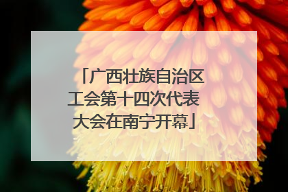 广西壮族自治区工会第十四次代表大会在南宁开幕