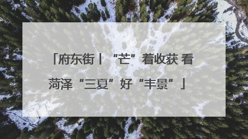 府东街丨“芒”着收获 看菏泽“三夏”好“丰景”