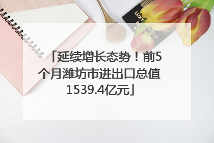 延续增长态势！前5个月潍坊市进出口总值1539.4亿元