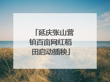 延庆张山营镇百亩网红稻田启动插秧