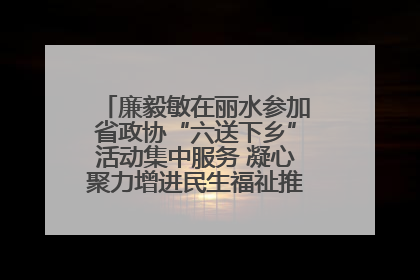 廉毅敏在丽水参加省政协“六送下乡”活动集中服务 凝心聚力增进民生福祉推进共同富裕
