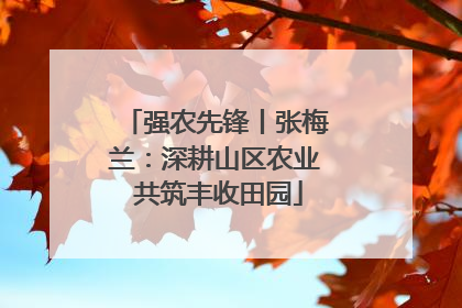 强农先锋丨张梅兰：深耕山区农业 共筑丰收田园