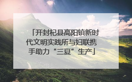 开封杞县高阳镇新时代文明实践所与妇联携手助力“三夏”生产