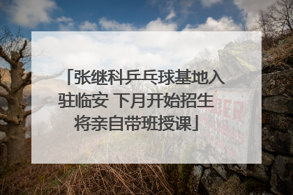 张继科乒乓球基地入驻临安 下月开始招生将亲自带班授课