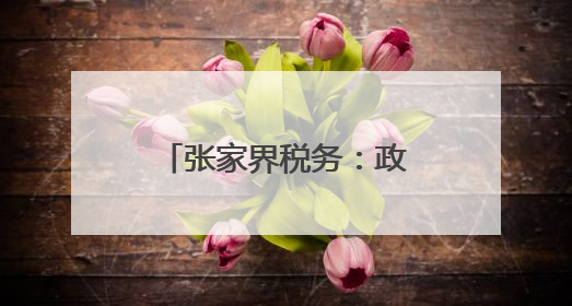 张家界税务：政策赋能育好青年创业“金种子”