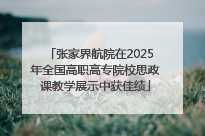 张家界航院在2025年全国高职高专院校思政课教学展示中获佳绩