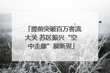 提前突破百万客流大关 苏区振兴“空中走廊”展新翼