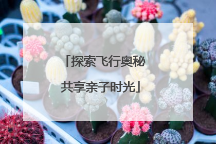 探索飞行奥秘 共享亲子时光