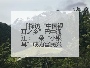 探访“中国银耳之乡”巴中通江：一朵“小银耳”成为富民兴县“大产业”