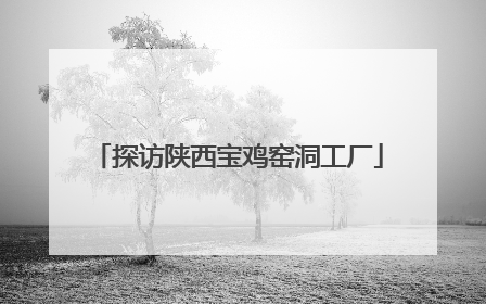 探访陕西宝鸡窑洞工厂