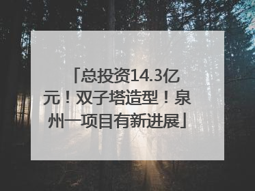 总投资14.3亿元！双子塔造型！泉州一项目有新进展