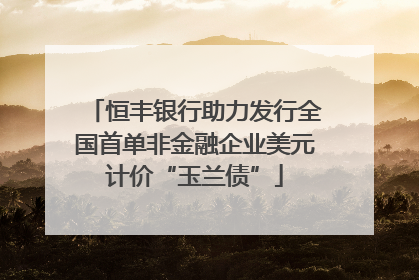 恒丰银行助力发行全国首单非金融企业美元计价“玉兰债”