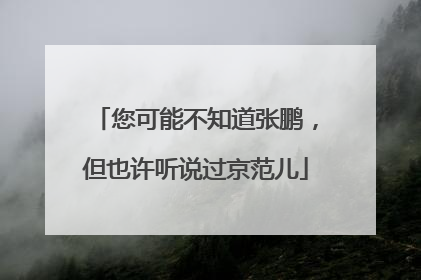 您可能不知道张鹏，但也许听说过京范儿
