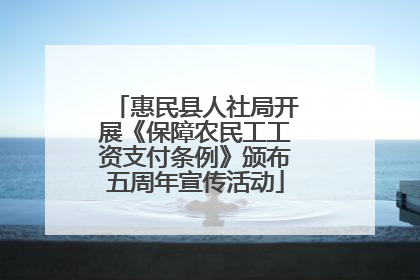 惠民县人社局开展《保障农民工工资支付条例》颁布五周年宣传活动