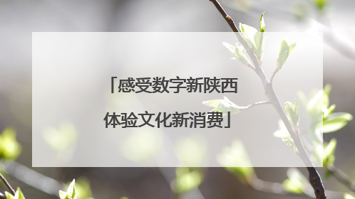感受数字新陕西 体验文化新消费
