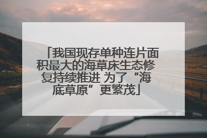 我国现存单种连片面积最大的海草床生态修复持续推进 为了“海底草原”更繁茂