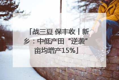 战三夏 保丰收丨新乡：中低产田“逆袭” 亩均增产15%