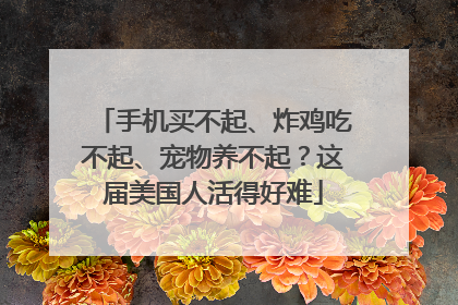 手机买不起、炸鸡吃不起、宠物养不起？这届美国人活得好难