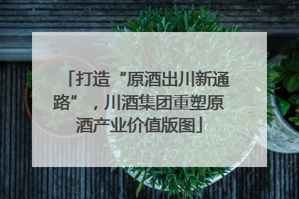 打造“原酒出川新通路”，川酒集团重塑原酒产业价值版图