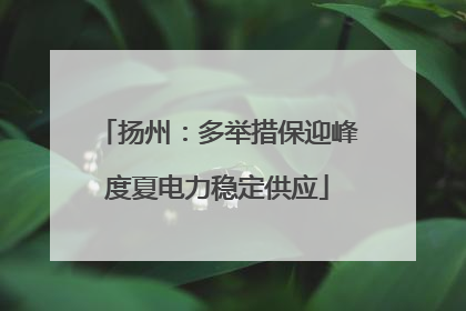 扬州：多举措保迎峰度夏电力稳定供应