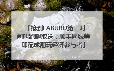 抢到LABUBU第一时间叫跑腿取送，顺丰同城等即配成潮玩经济参与者