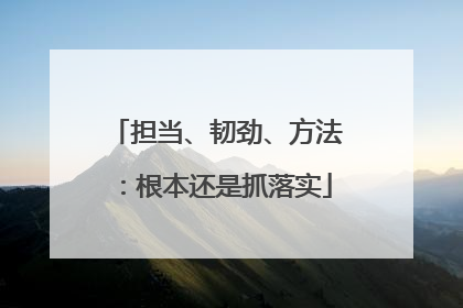 担当、韧劲、方法：根本还是抓落实