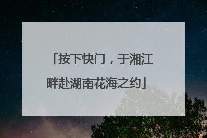 按下快门，于湘江畔赴湖南花海之约